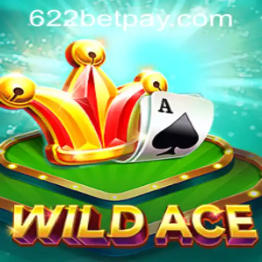 Discover WildAce: A Thrilling Online Casino Experience